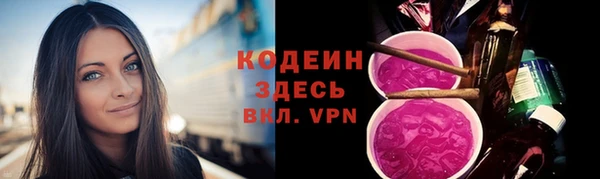 прущие грибы Армянск