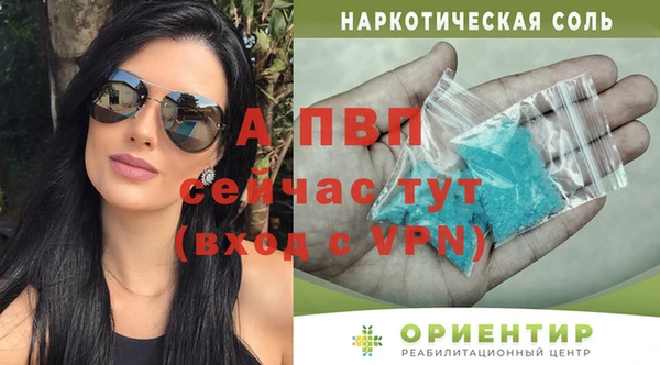 дживик Арсеньев
