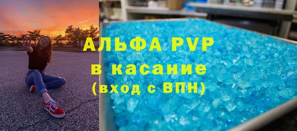 прущие грибы Армянск