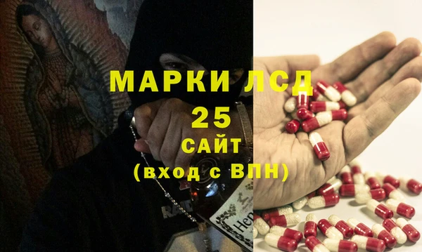 прущие грибы Армянск